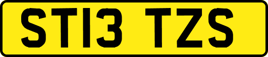 ST13TZS
