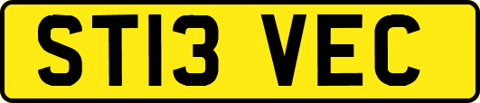 ST13VEC