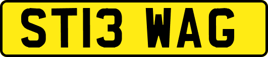 ST13WAG