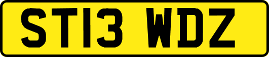 ST13WDZ