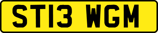 ST13WGM