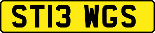 ST13WGS