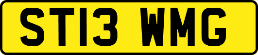 ST13WMG