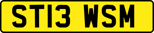 ST13WSM
