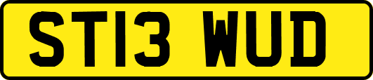 ST13WUD