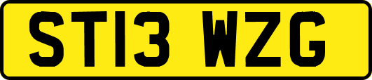 ST13WZG
