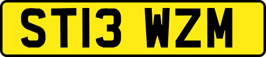 ST13WZM