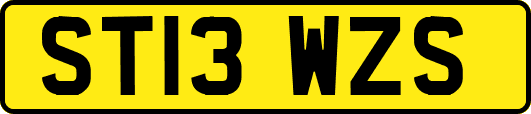 ST13WZS