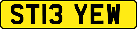 ST13YEW