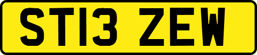 ST13ZEW