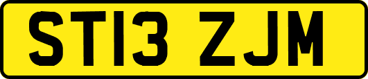 ST13ZJM