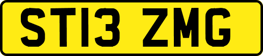 ST13ZMG