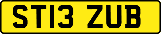ST13ZUB