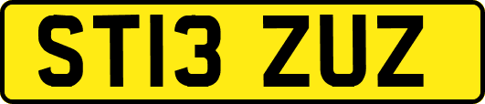 ST13ZUZ