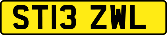 ST13ZWL