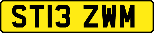 ST13ZWM