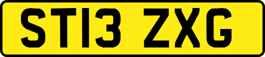 ST13ZXG