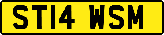 ST14WSM