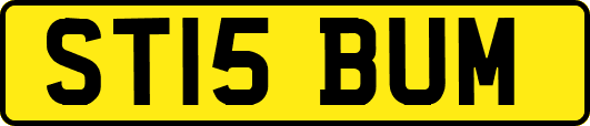 ST15BUM