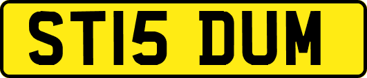 ST15DUM