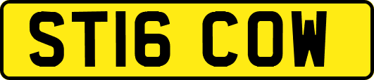 ST16COW