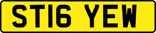 ST16YEW
