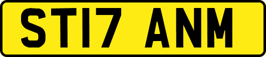 ST17ANM