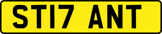 ST17ANT