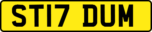 ST17DUM