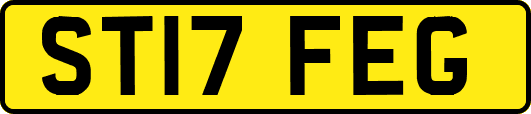 ST17FEG