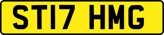 ST17HMG