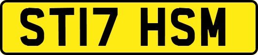 ST17HSM