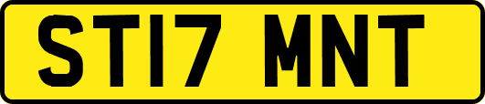 ST17MNT