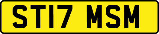 ST17MSM