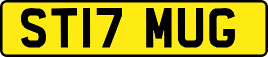 ST17MUG