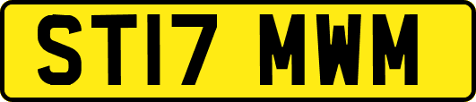 ST17MWM