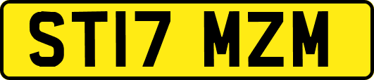 ST17MZM