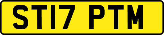 ST17PTM