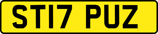 ST17PUZ