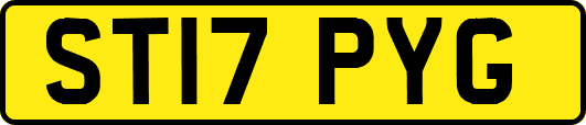 ST17PYG