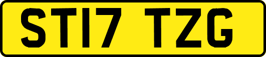 ST17TZG