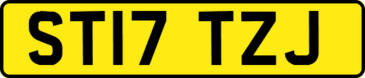 ST17TZJ