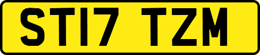 ST17TZM