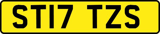 ST17TZS