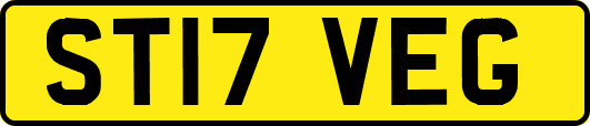 ST17VEG