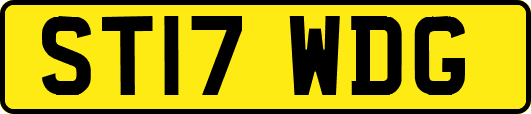 ST17WDG