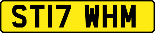 ST17WHM