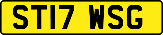 ST17WSG