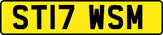 ST17WSM