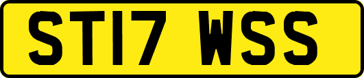 ST17WSS